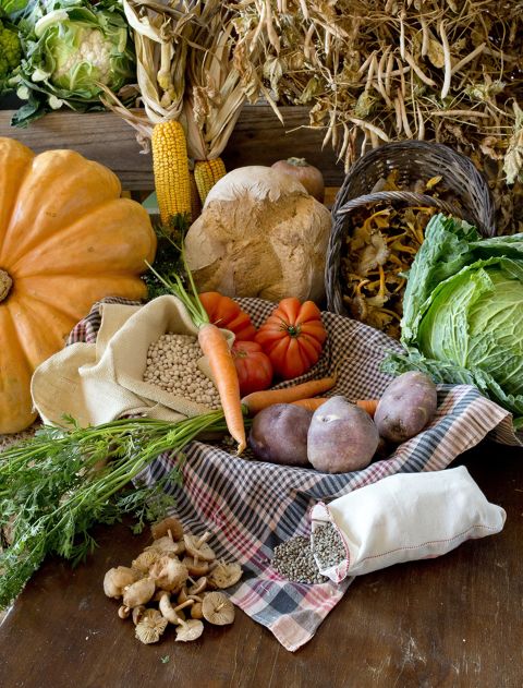 Cuina Volcànica participa en la cloenda dels cursos de català amb la xerrada D’aliments de guerra a productes de la terra.